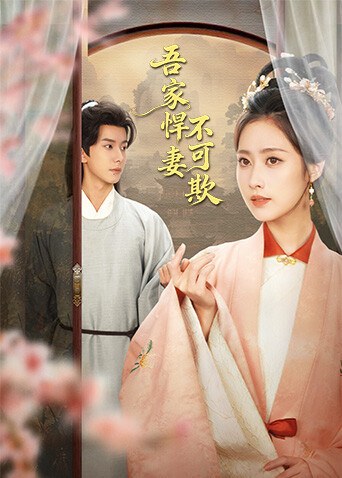 《吾家悍妻不可欺》作品海报